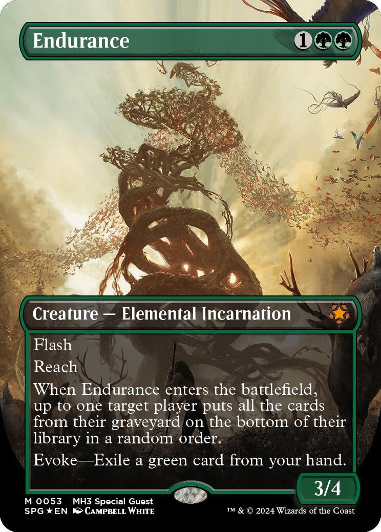 Endurance Borderless Textured Foil (53) [SPG]