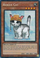 Rescue Cat PCR (RA02-EN001) [RA02]