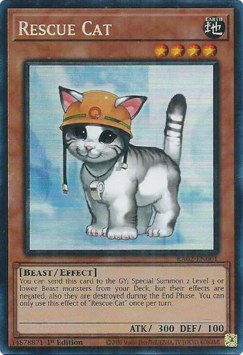 Rescue Cat PCR (RA02-EN001) [RA02]