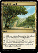 Exotic Orchard (341) [M3C]