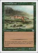 Trained Jackal (155) [PTK]