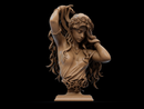 Aphrodite Resin Bust - Design 2 - view 1