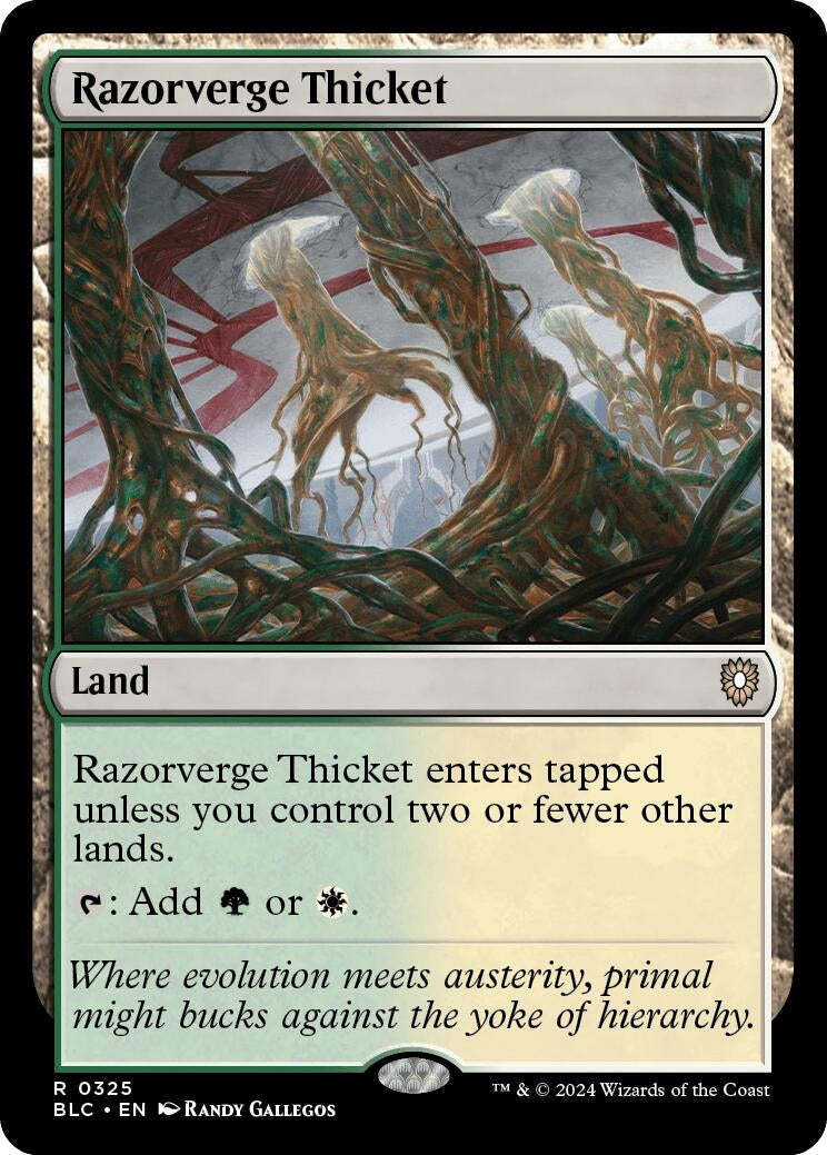 Razorverge Thicket (325) [BLC]