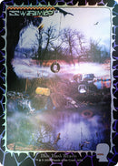 Swamp 1654 Rainbow Foil (1654) [SLD]