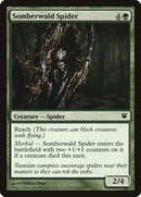 Somberwald Spider (202) [ISD]
