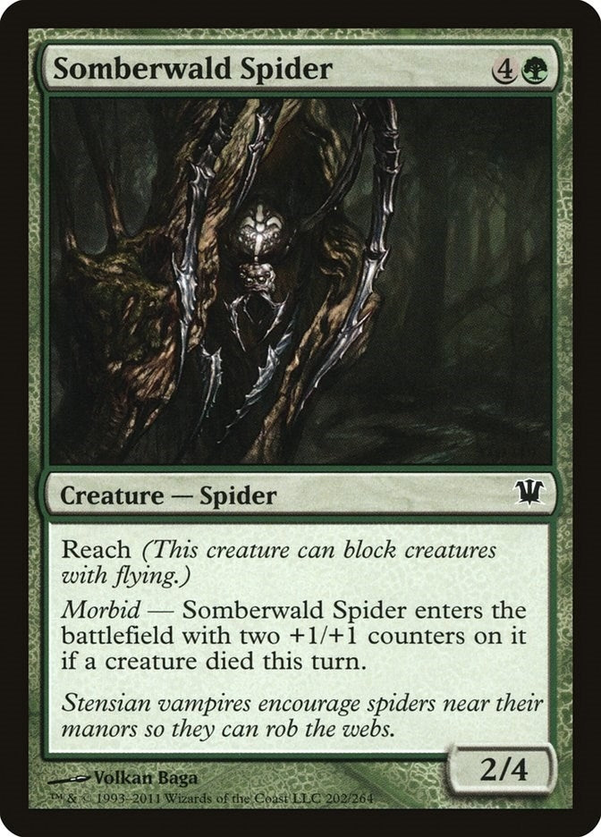 Somberwald Spider (202) [ISD]