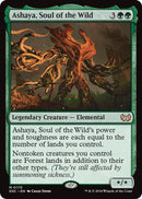 Ashaya Soul of the Wild (170) [CSK]