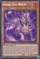 Snake Eye Birch (MP24-EN112)