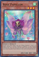 Rose Papillon (MP24-EN250)