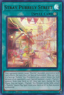 Stray Purrely Street (MP24-EN289)