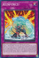 REINFORCE (MP24-EN354)