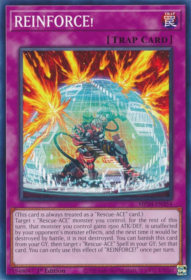 REINFORCE (MP24-EN354)