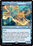 Image for Enduring Curiosity
