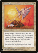 Image for Afterlife