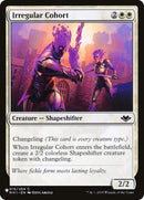 Image for Irregular Cohort