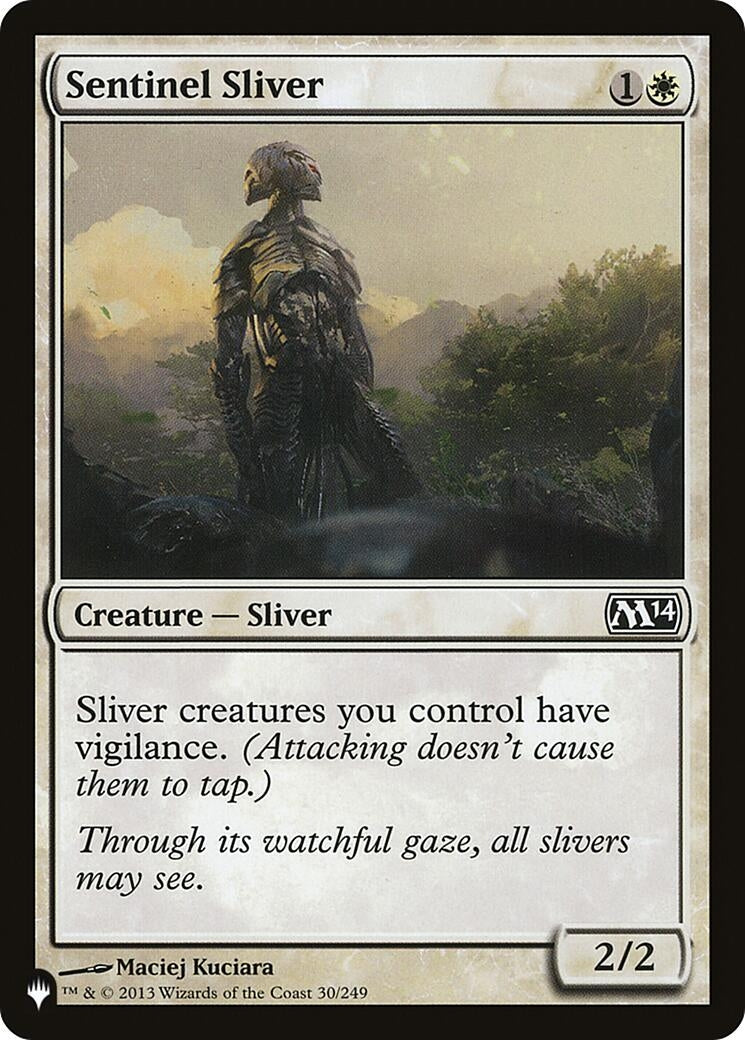 Image for Sentinel Sliver