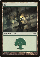 Forest 2010 (5) [PREM]