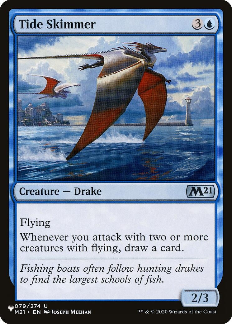 Image for Tide Skimmer