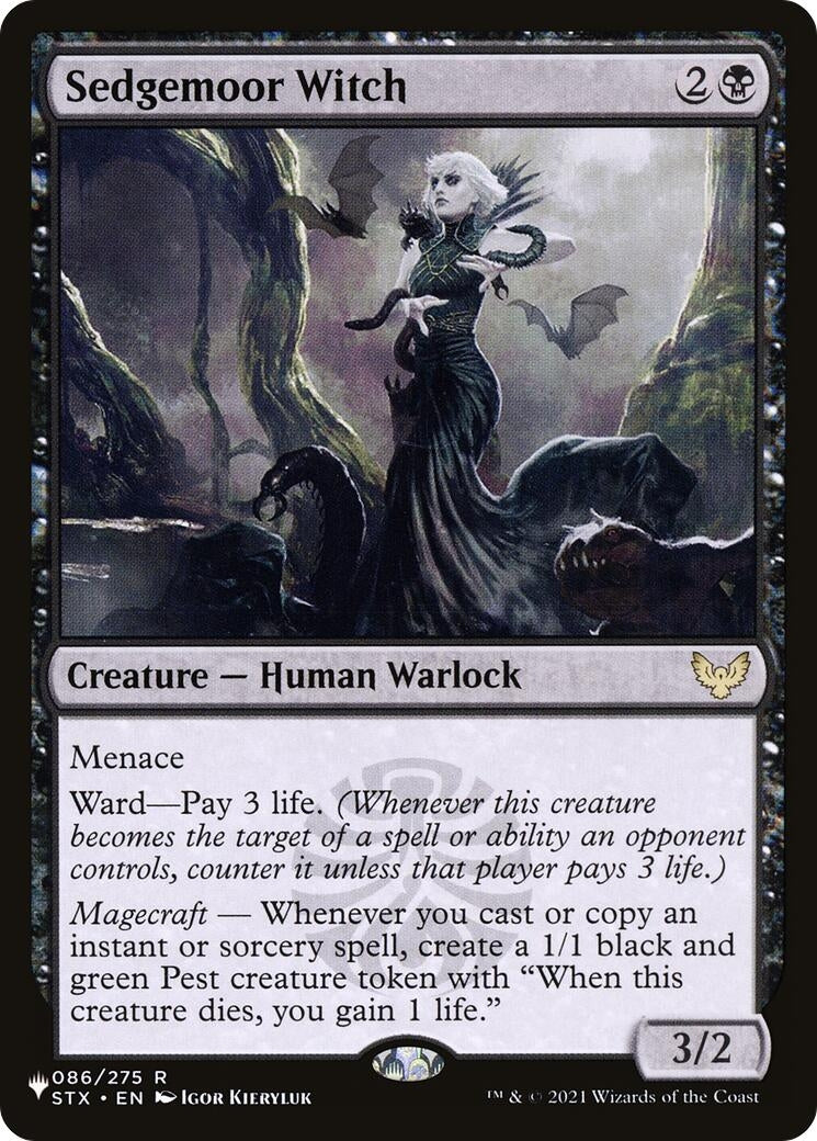 Image for Sedgemoor Witch