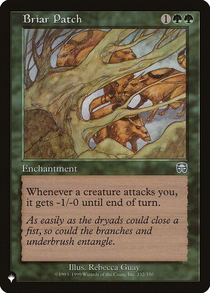 Image for Briar Patch