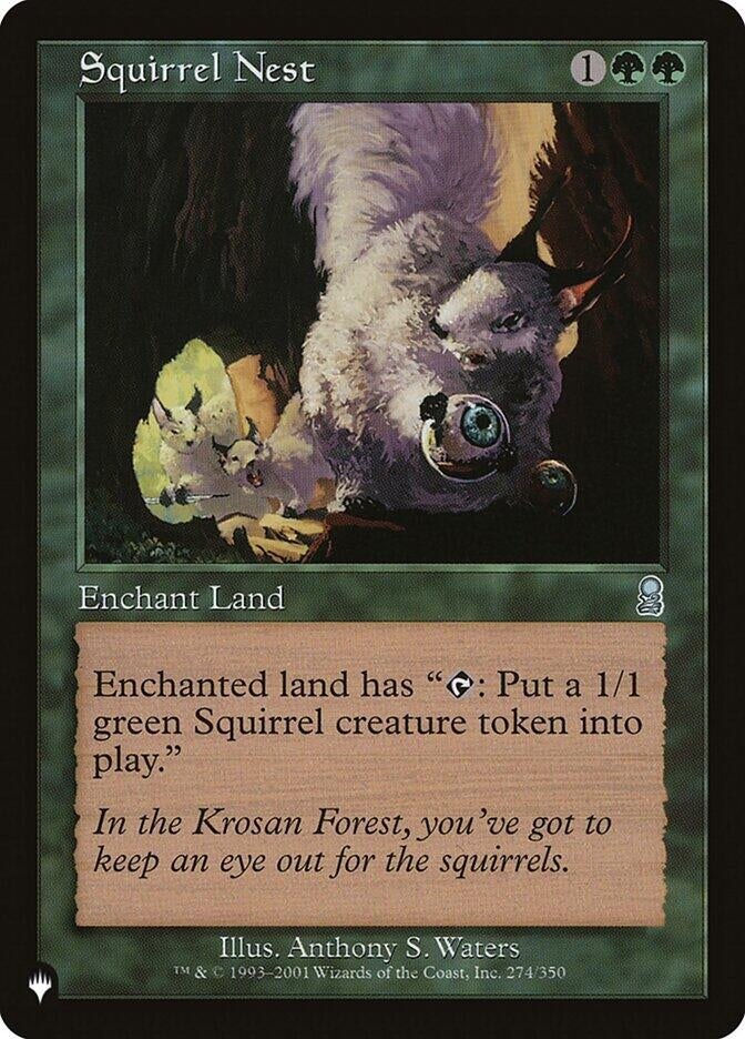 Image for Squirrel Nest