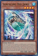 Image for Surfacing Big Jaws [Rage of the Abyss]