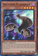 Image for Splitting Planarian [Rage of the Abyss]