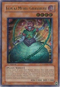 Koaki Meiru Gravirose UTR (ANPR-EN083) [ANPR]