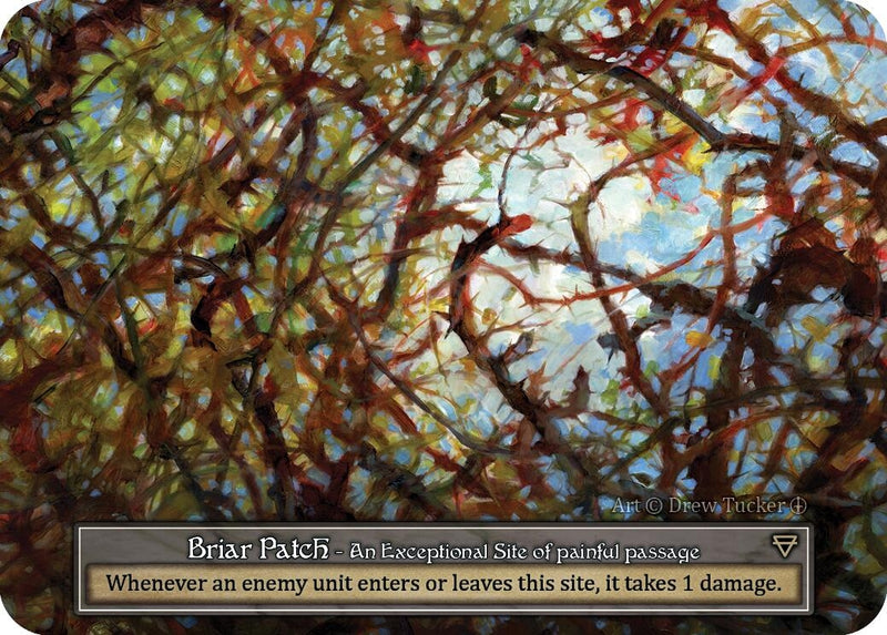 Image for Briar Patch (Foil) [Arthurian Legends]