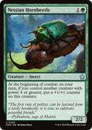 Image for Nessian Hornbeetle