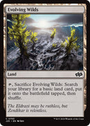 Image for Evolving Wilds