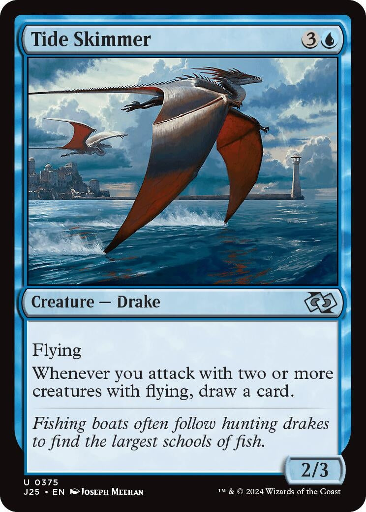 Image for Tide Skimmer