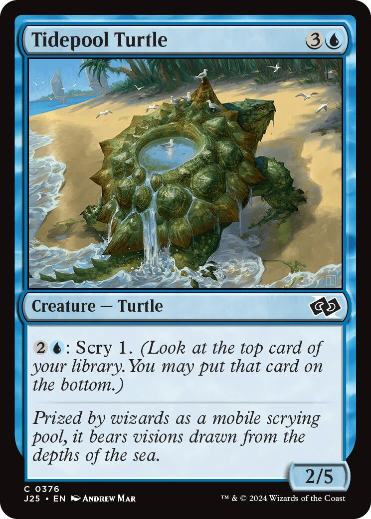 Image for Tidepool Turtle