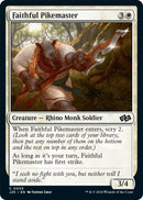 Image for Faithful Pikemaster