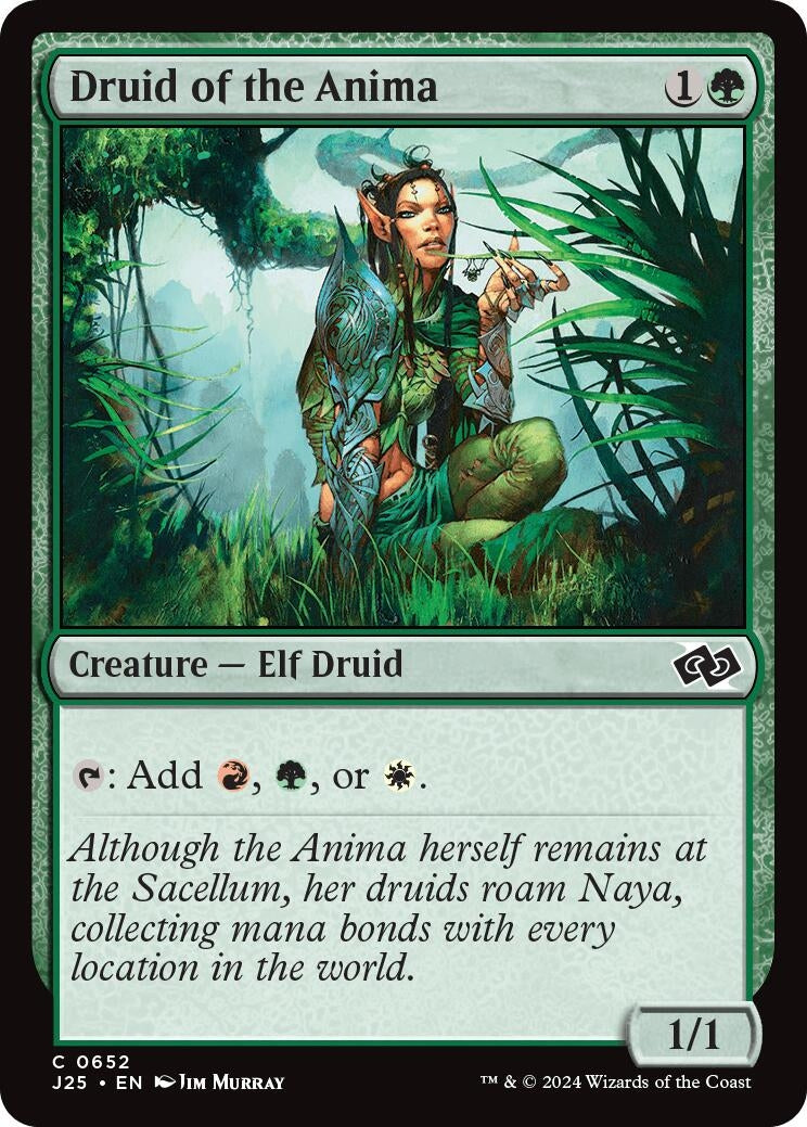 Image for Druid of the Anima