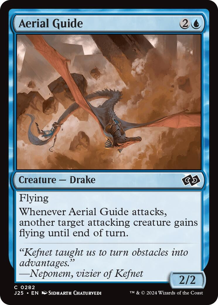 Image for Aerial Guide