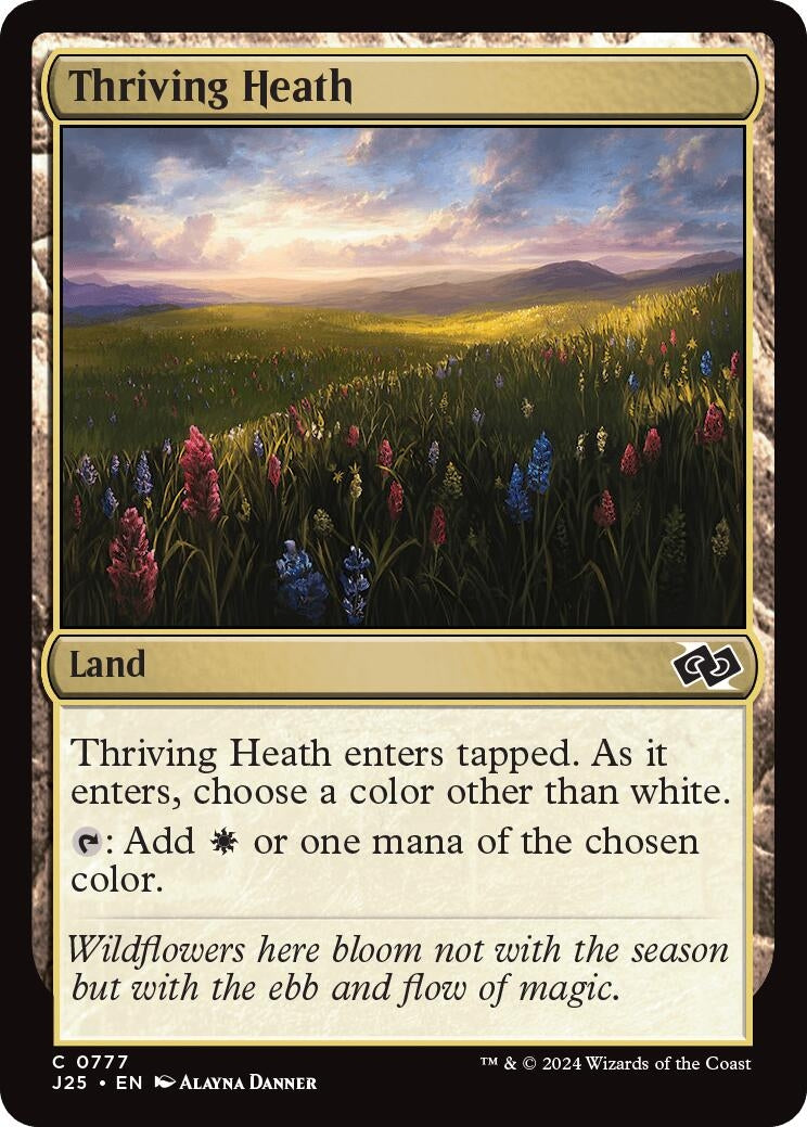 Image for Thriving Heath