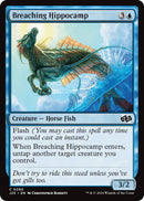 Image for Breaching Hippocamp