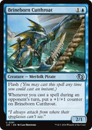 Image for Brineborn Cutthroat