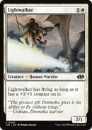 Image for Lightwalker