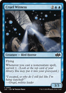 Image for Cruel Witness