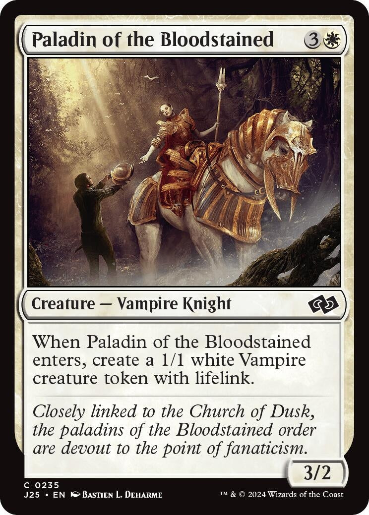 Image for Paladin of the Bloodstained
