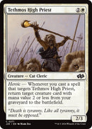 Image for Tethmos High Priest