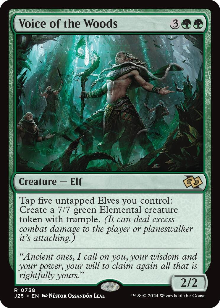 Image for Voice of the Woods