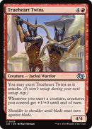 Image for Trueheart Twins