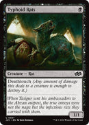 Image for Typhoid Rats