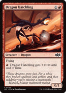Image for Dragon Hatchling