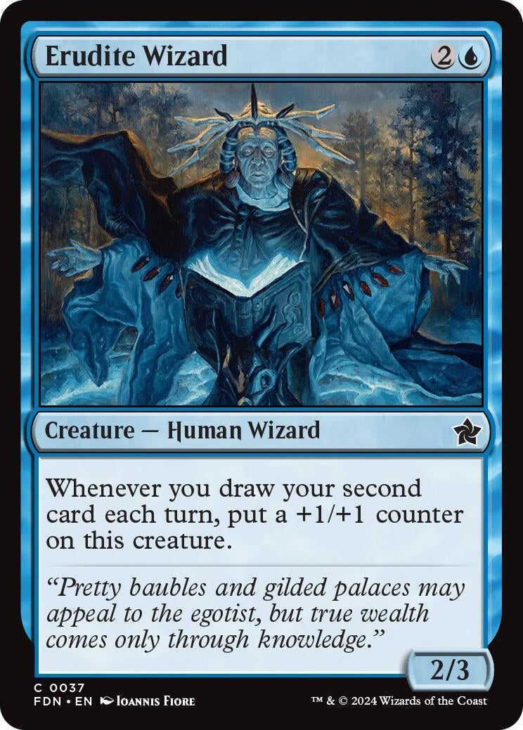 Image for Erudite Wizard