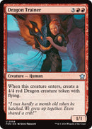 Image for Dragon Trainer
