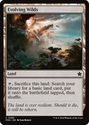 Image for Evolving Wilds